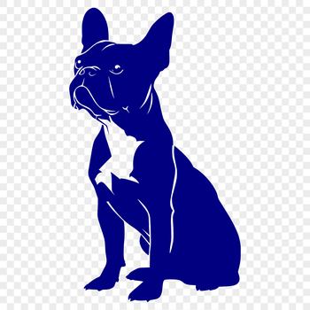 A full-body illustration of a sitting Boston Terrier dog breed.