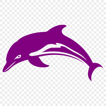 Free Stunning Dolphin Vector Drawing