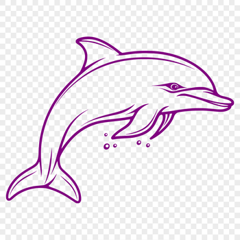 A detailed illustration of a dolphin's full body, rendered as a vector image.
