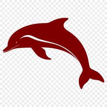 A detailed illustration of a full-body dolphin, suitable for vector design.