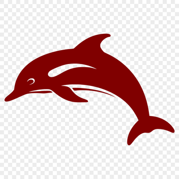 A high-quality illustration of a full-body dolphin in a realistic style.