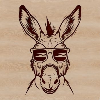 A digital illustration of a donkey's head with sunglasses on.