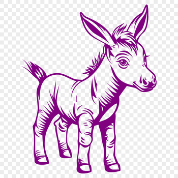 A full-body illustration of a standing donkey in a simple vector design.