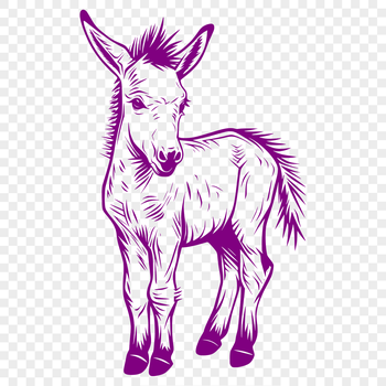 A full-body illustration of a standing donkey in vector format.