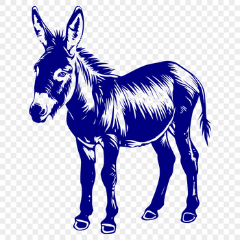 An SVG image featuring a detailed representation of an animal's anatomy in a standing position, specifically a donkey.