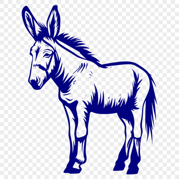 A standing donkey with its full body visible, rendered as a vector graphic.