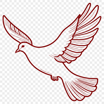 A simple outline illustration of a white dove in flight.