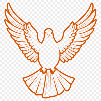 A white dove perched on a branch, symbolizing peace and calmness.