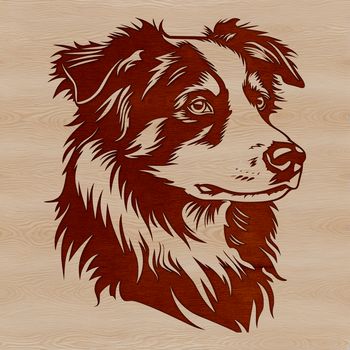 A detailed illustration of a loyal Australian Shepherd dog's head with a rugged yet friendly expression.
