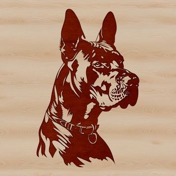 Close-up illustration of a Great Dane's face, detailed in vector format.