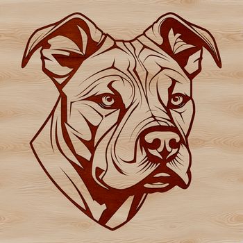 A close-up of a Pitbull's head with a strong jawline and distinctive markings.