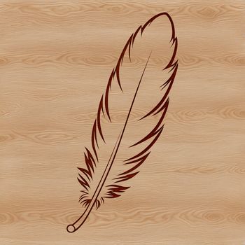A high-quality digital illustration of a single bird's feather with detailed texture and shape.