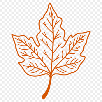 A graphic representation of a single leaf in vector format.
