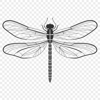 A colorful dragonfly in mid-flight, suitable for digital design projects.