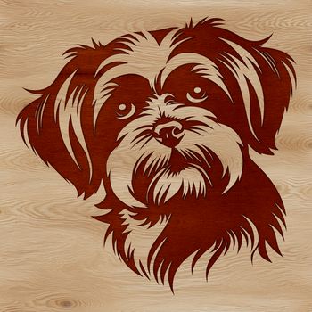 A detailed illustration of a small dog's head with a rounded face and long fur.