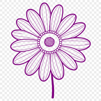 A white daisy flower with yellow center, suitable for vector design.