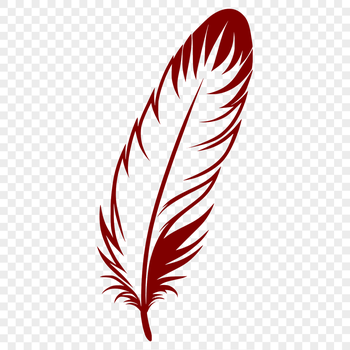 A single feather with detailed edges and textures, suitable for vector design.