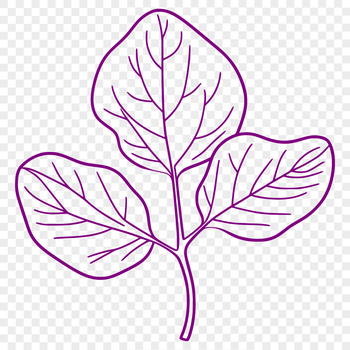 A simple, scalable illustration of a leaf with detailed shapes and lines, suitable for vector graphics.