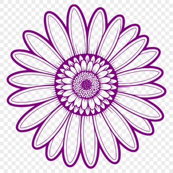 A white daisy flower with yellow center on a transparent background.