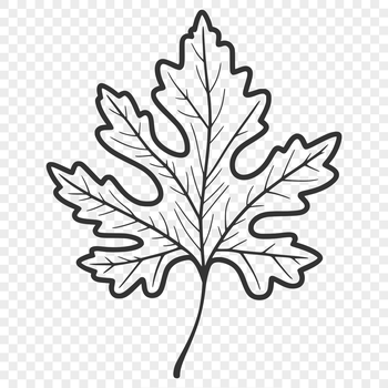 A single leaf with detailed veins and edges, suitable for vector design and cutting machine projects.