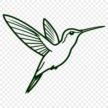 A detailed digital rendering of a hummingbird, suitable for use as clip art or vector design.
