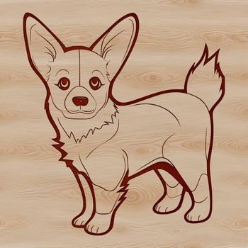 A standing Welsh Corgi breed dog, suitable as vector art for pet owners or animal enthusiasts.