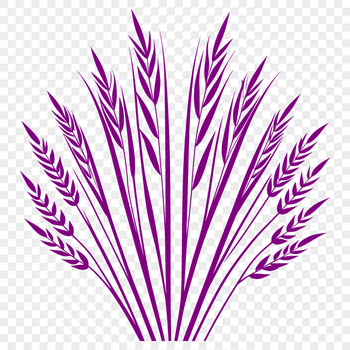 An SVG graphic of a single wheat stalk in high-resolution detail.