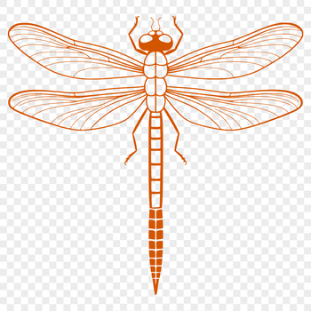 A detailed illustration of a dragonfly in various poses, suitable for vector design and cutting machine applications.