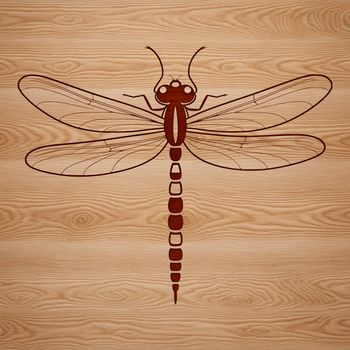 Dragonfly insect illustration in vector format.