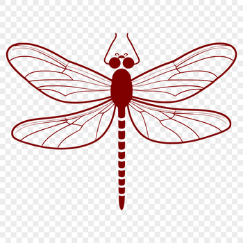 A colorful insect with iridescent wings, ideal for digital designs.
