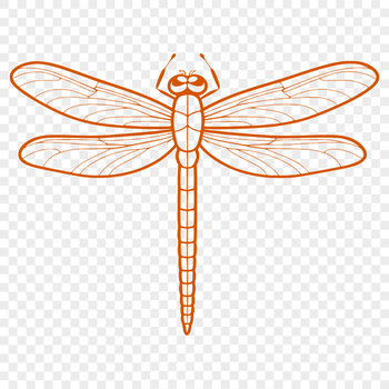 A colorful vector illustration of a dragonfly with transparent background.