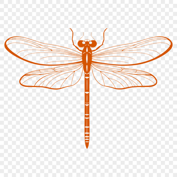 A detailed illustration of a dragonfly with intricate details, suitable for cutting machines like Cricut or laser cutters.
