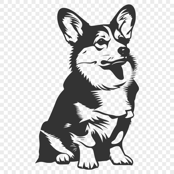 A full-body illustration of a sitting Corgi dog, suitable for digital designs.