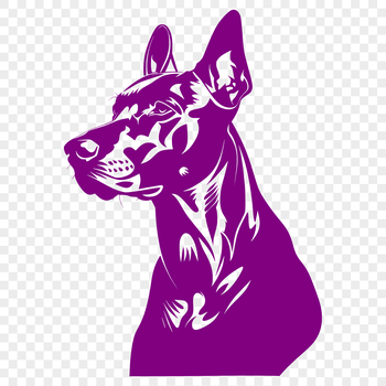 A portrait of a Doberman Pinscher's head with precise lines and simple shapes.