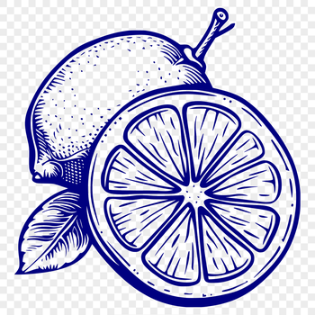A simple vector illustration of a lemon, suitable for graphic design projects.