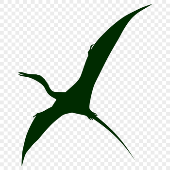 An illustration of a Pteranodon in full body silhouette form.