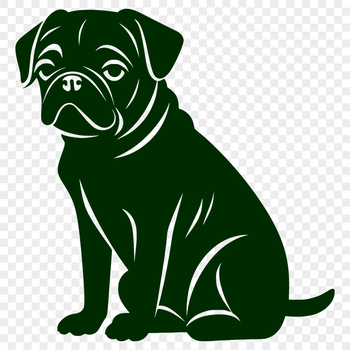 Sitting Pug PNG