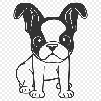 A full-body illustration of a cute Boston Terrier sitting on its haunches.