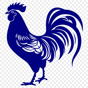 A full-body illustration of a farm animal with feathers and beak.