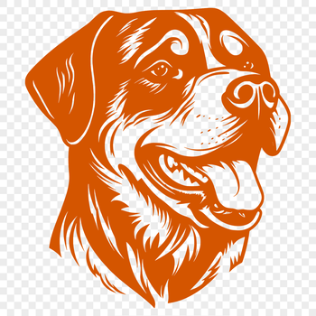 A vector illustration of a loyal rottweiler breed dog's head.