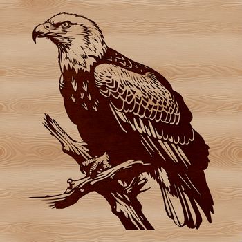 A bird of prey perched on a branch, with feathers spread wide in a majestic stance.