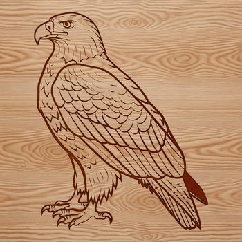 A majestic bird of prey perched on a branch, depicted in detailed vector art.