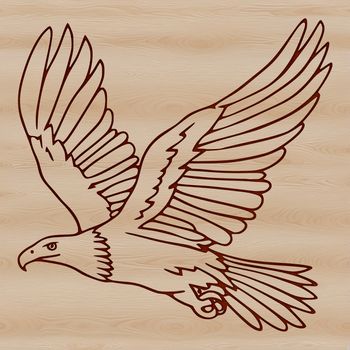 A realistic illustration of a soaring eagle in flight.