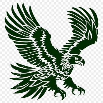 A detailed illustration of a soaring eagle in mid-flight, featuring bold lines and clear shapes.