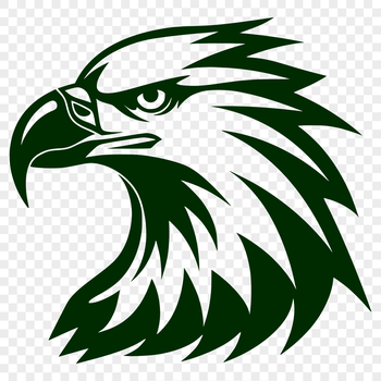 A detailed illustration of an eagle's head in vector format.