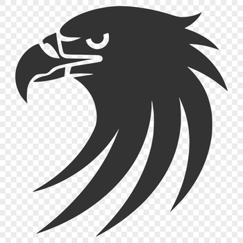 A detailed illustration of a bird's head with sharp beak and feathers, suitable for vector art designs.