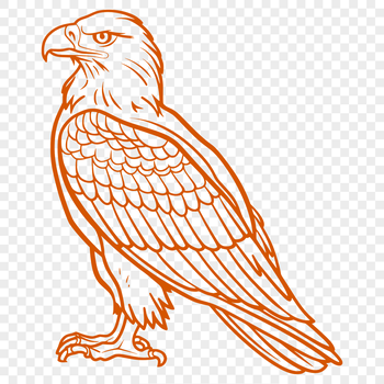 A high-quality vector illustration of a full-body eagle perched on a branch.