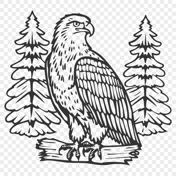 Artistic Eagle PDF