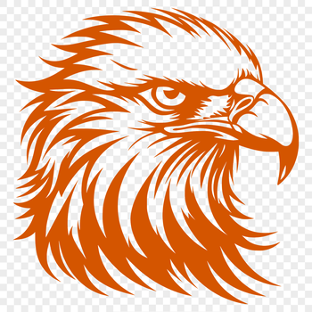 Close-up illustration of an eagle's head with sharp beak and feathers.
