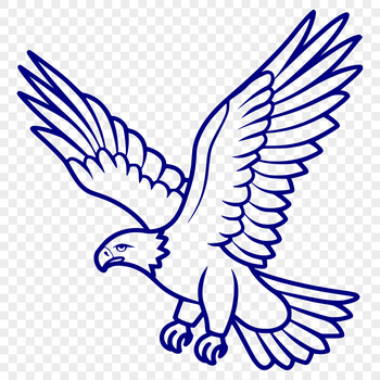 A detailed illustration of a bird in flight from above, showcasing its feathers and wingspan.